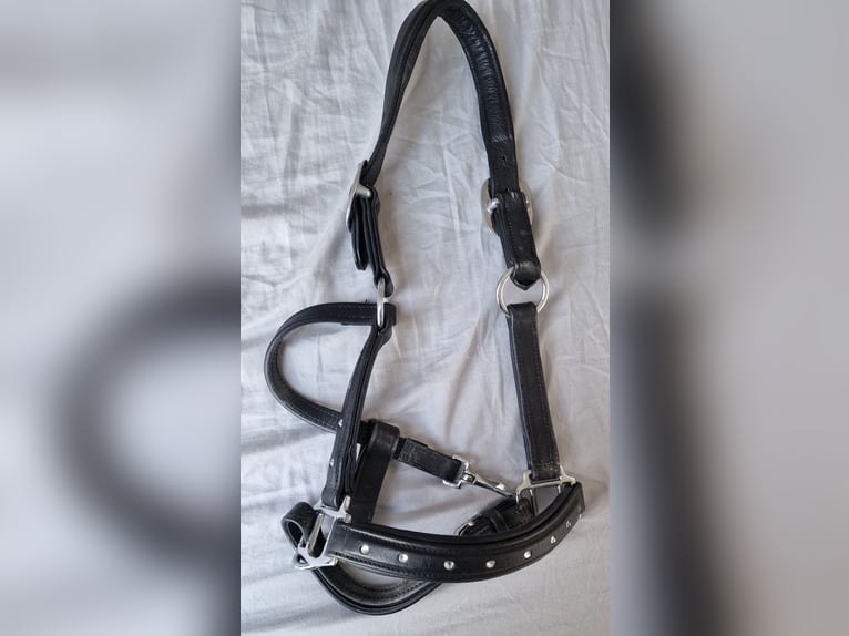 Lederhalfter mit Strass-Steinen