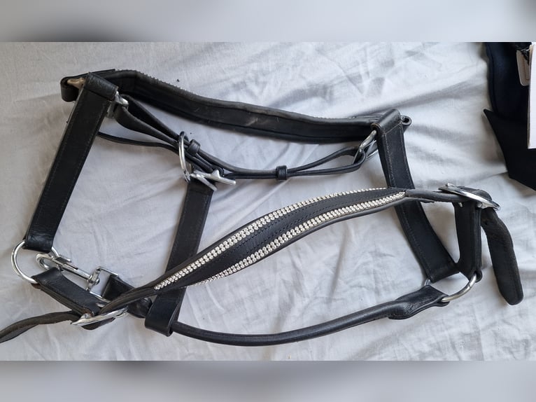 Lederhalfter mit Strass-Steinen