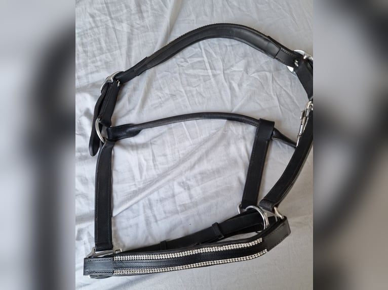 Lederhalfter mit Strass-Steinen