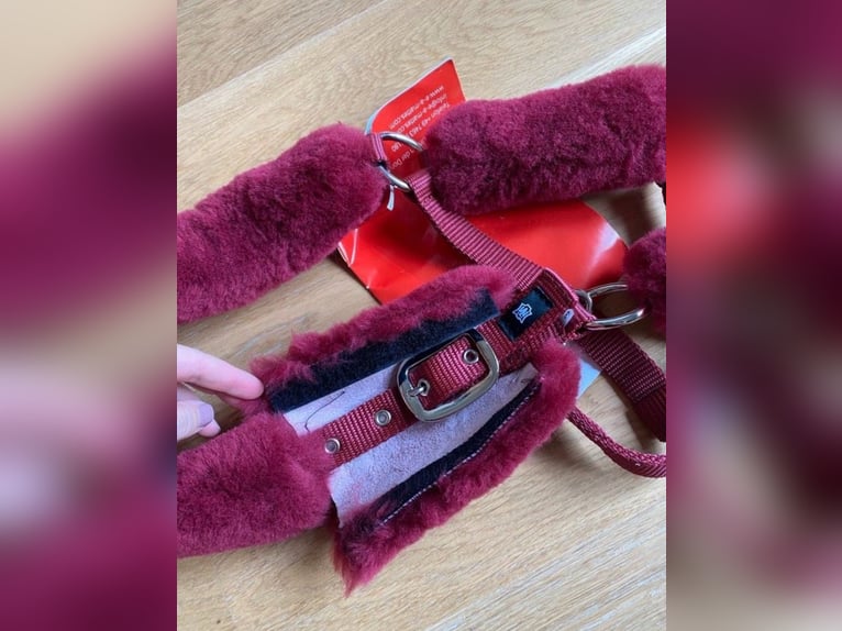 Mattes Lammfell Halfter WB Bordeaux - NEU
