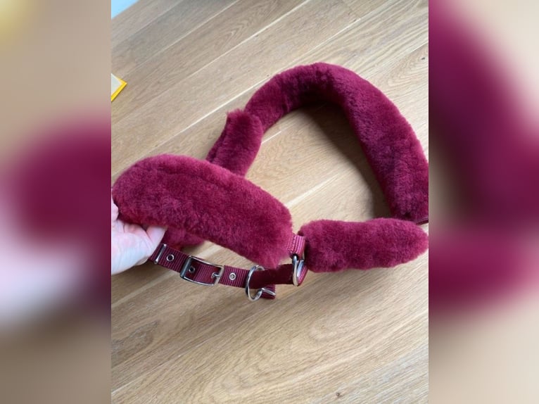 Mattes Lammfell Halfter WB Bordeaux - NEU