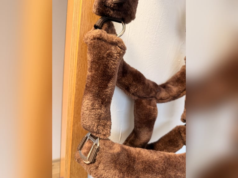 Neu Teddyhalfter braun Wb