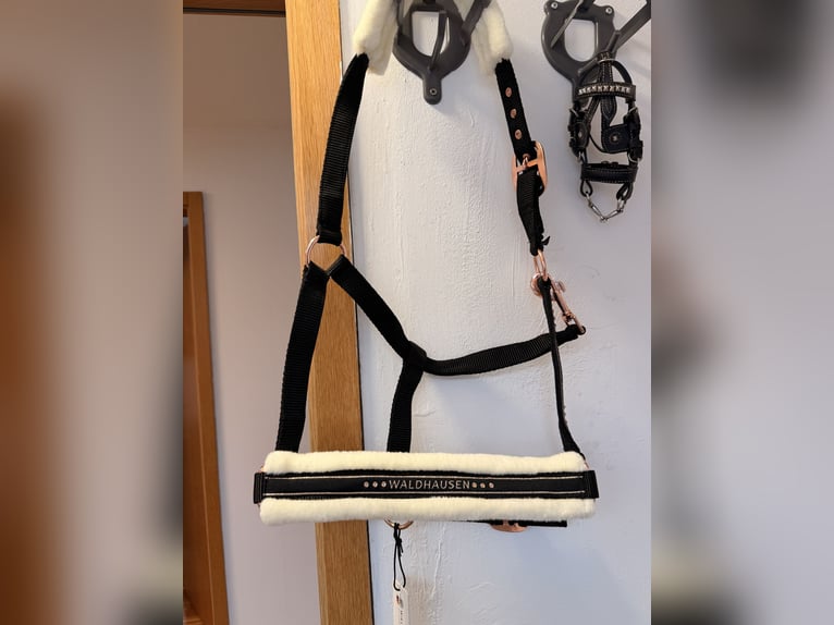 Neu Walhausen Halfter Glitzer 