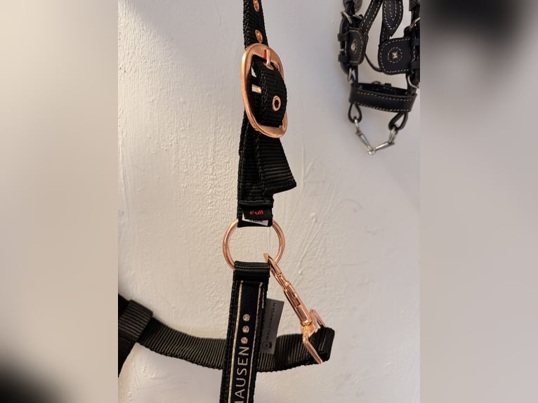 Neu Walhausen Halfter Glitzer 