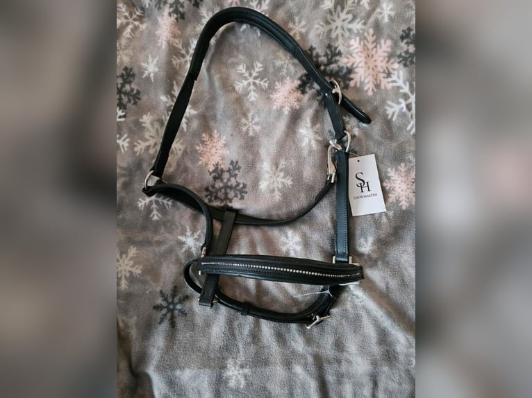 Neues Lederhalfter mit Strasssteinen 