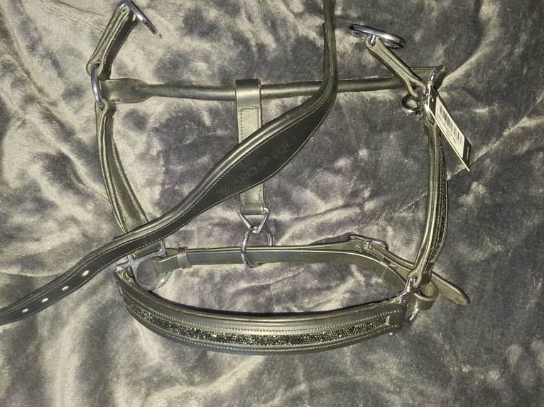 Niegelnagelneues Echtlederhalfter