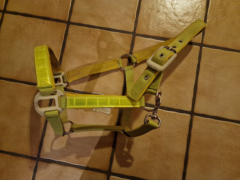 Reflektionshalfter, Waldhausen, Halfter