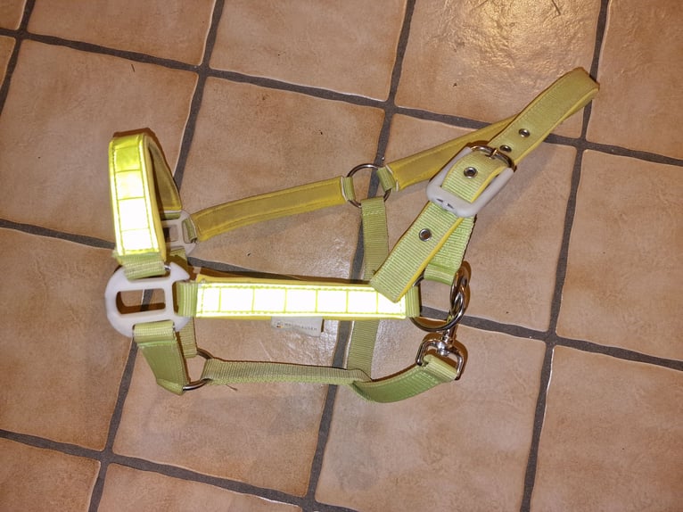 Reflektionshalfter, Waldhausen, Halfter