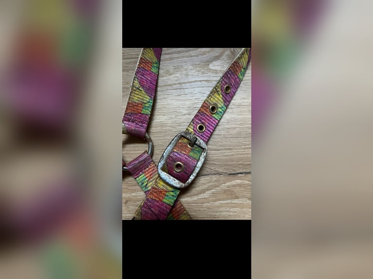 Showmaster Halfter COB Herbst Blötter bunt  Krämer VB