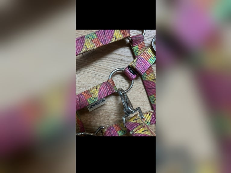 Showmaster Halfter COB Herbst Blötter bunt  Krämer VB