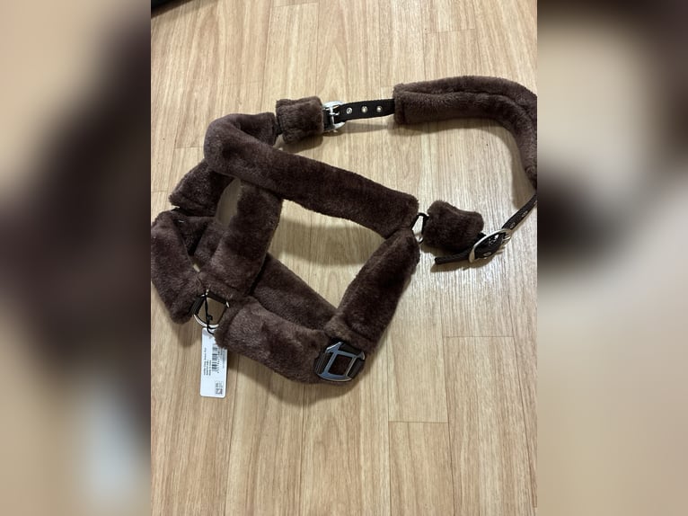Waldhausen Halfter WB Teddy braun NEU
