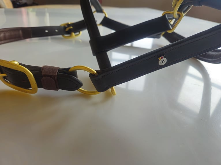 Waldhausen Lederhalfter X-Line crystal braun-gold neu