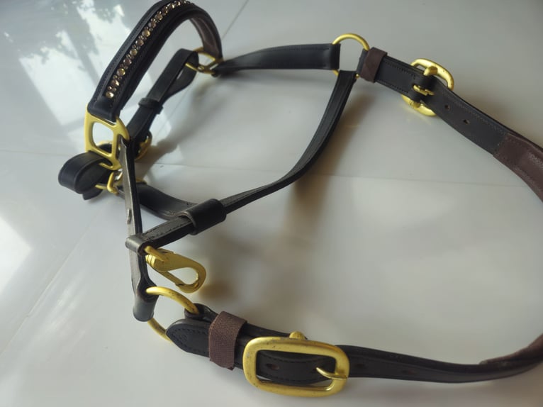 Waldhausen Lederhalfter X-Line crystal braun-gold neu