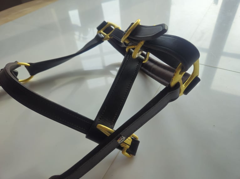 Waldhausen Lederhalfter X-Line crystal braun-gold neu