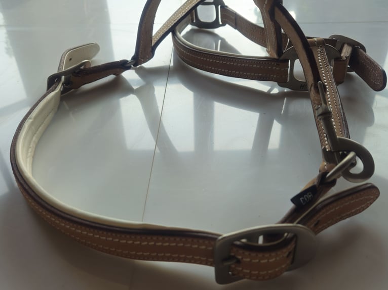 Waldhausen Lederhalfter X-Line crystal braun-gold neu