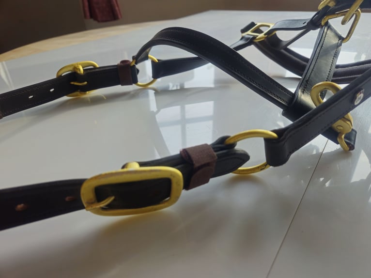 Waldhausen Lederhalfter X-Line crystal braun-gold neu