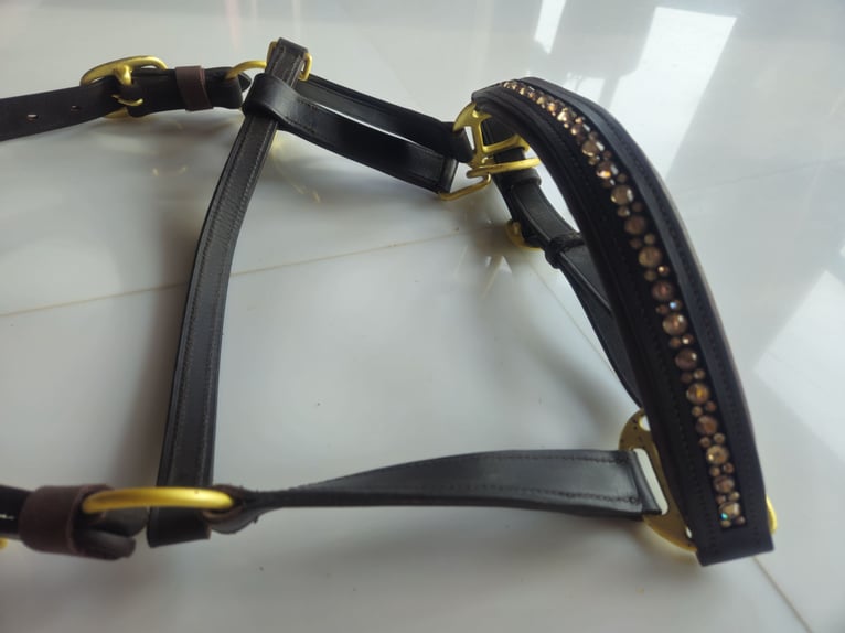 Waldhausen Lederhalfter X-Line crystal braun-gold neu