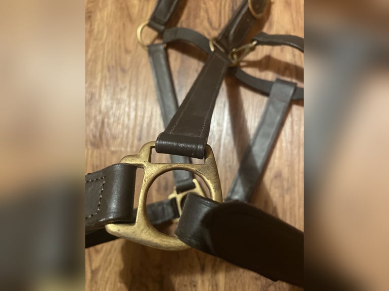 XXL Norikerhalfter, echtleder 