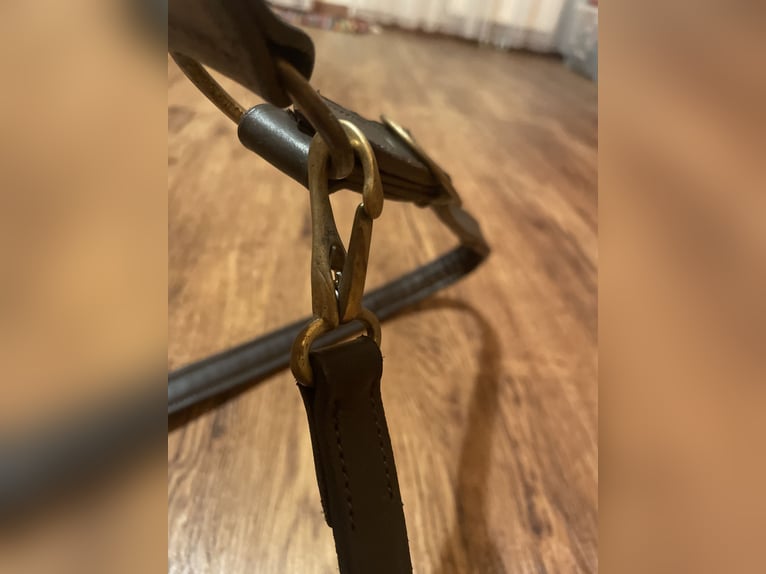 XXL Norikerhalfter, echtleder 