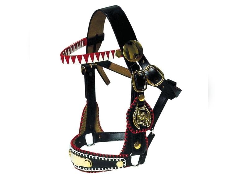 Zierhalfter Prunkhalfter Showzaum Fahrhalfter Messing für Kaltblut - Noriker usw.