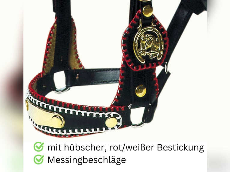 Zierhalfter Prunkhalfter Showzaum Fahrhalfter Messing für Kaltblut - Noriker usw.