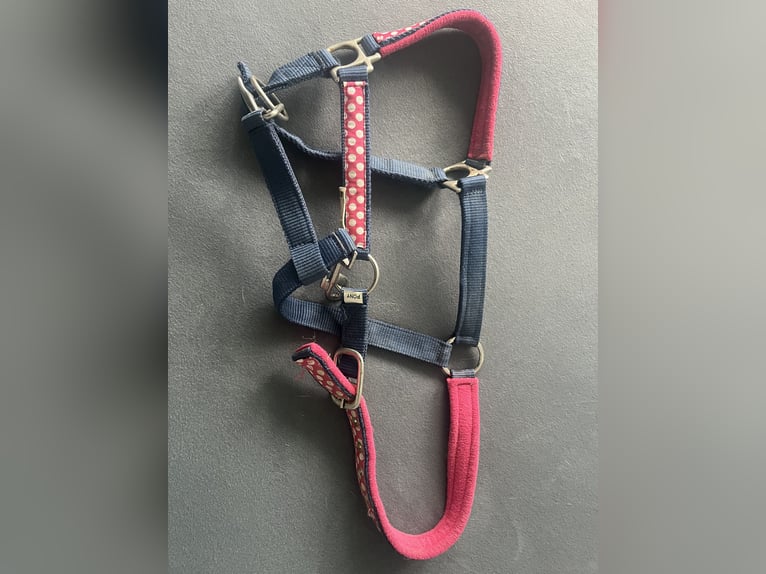 Blau Pinkes Pony Halfter