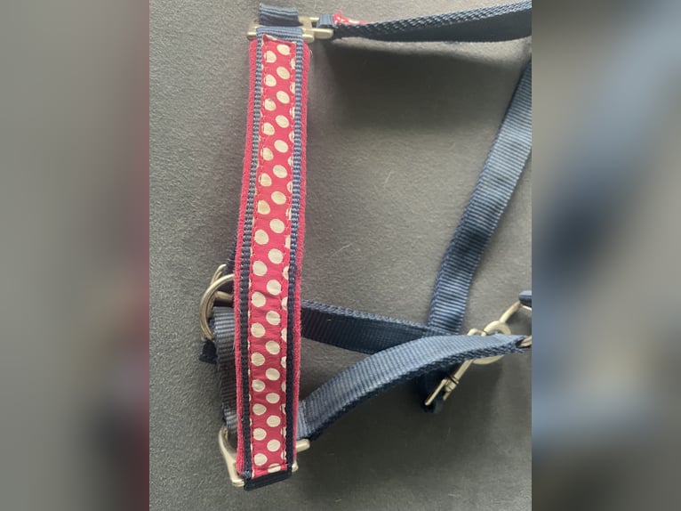 Blau Pinkes Pony Halfter