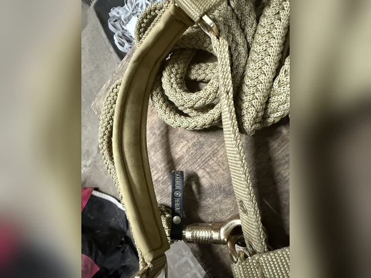 Eskadron Halfter & Strick DOUBLE PIN HERITAGE 2025 . Größe V.