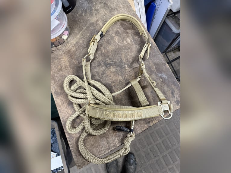 Eskadron Halfter & Strick DOUBLE PIN HERITAGE 2025 . Größe V.