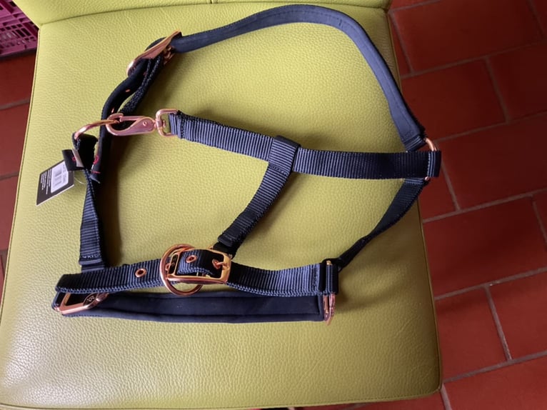 Halfter für ein Shetty, neu, Farbe blau/rose (nicht nur merken )