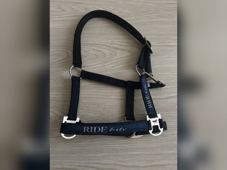Halfter von RideNow
