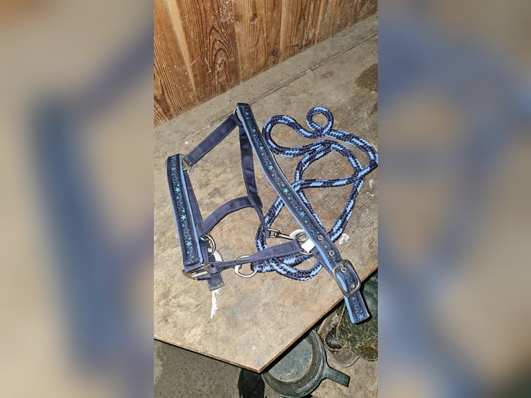 HKM Pony Halfter + Strick in Blau