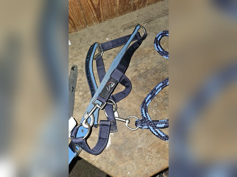 HKM Pony Halfter + Strick in Blau