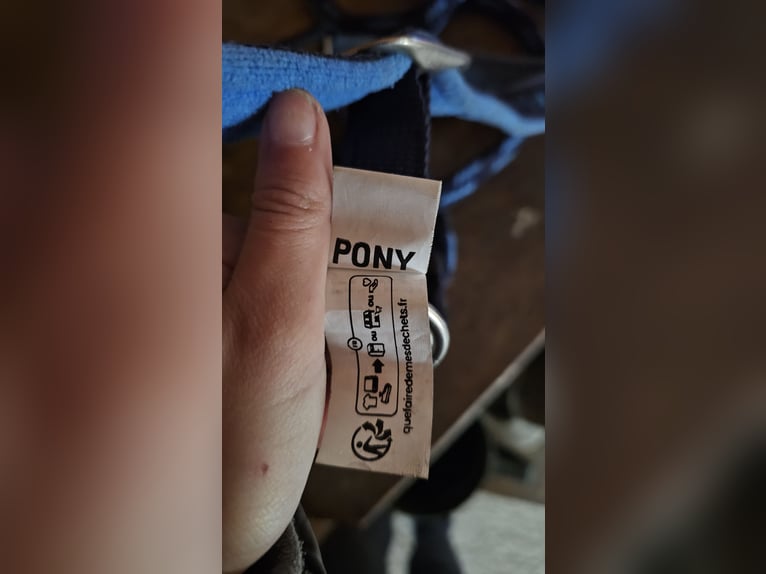 HKM Pony Halfter + Strick in Blau