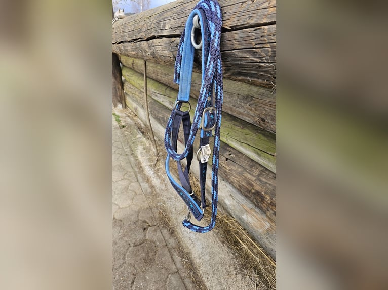 HKM Ponyhalfter + Strick in Blau