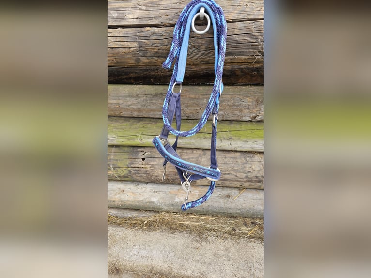 HKM Ponyhalfter + Strick in Blau