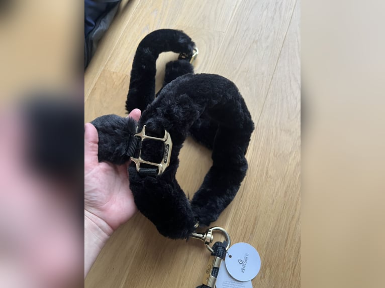 Kentucky Transport Halfter schwarz Pony mit Strick