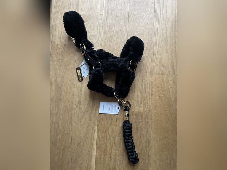 Kentucky Transport Halfter schwarz Pony mit Strick
