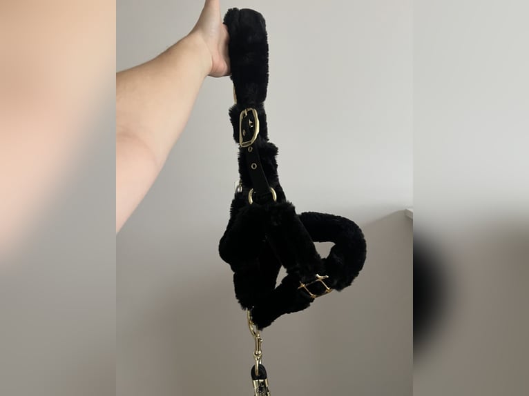Kentucky Transport Halfter schwarz Pony mit Strick
