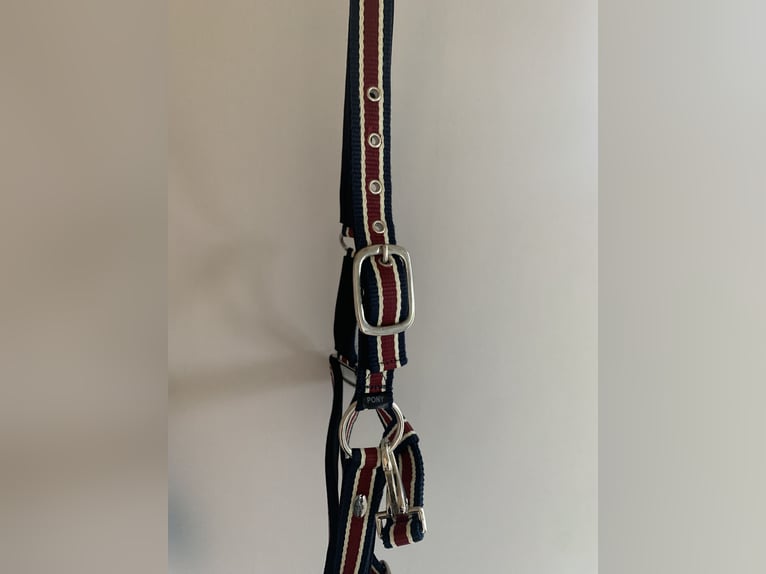 Pony Halfter neu 