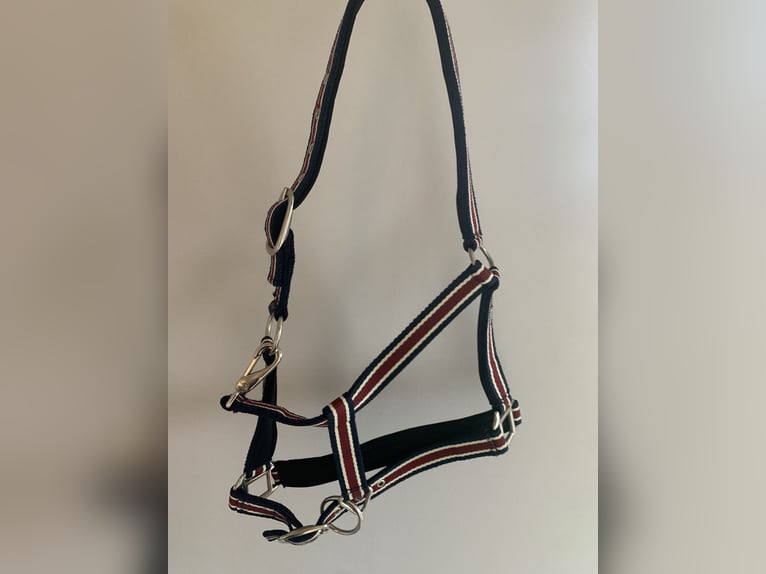 Pony Halfter neu 