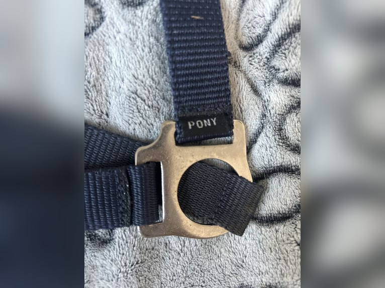 Pony Halfter Neu