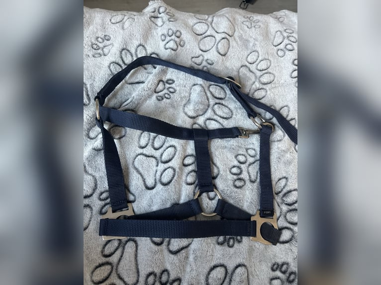Pony Halfter Neu