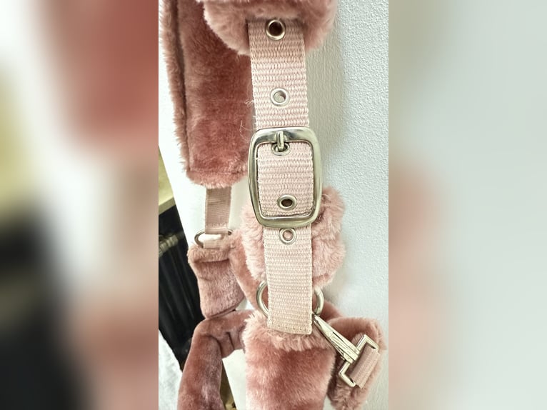 Rosa Pony Plüschhalfter mit passendem strick ,,unbenutzt“ von Showmaster 