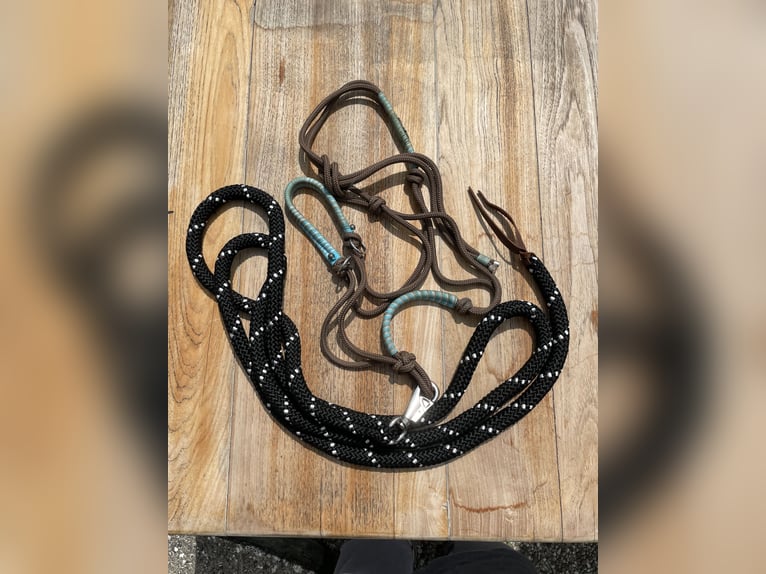 Knotenhalfter mit Ringen Gr. KB Kaltblut inkl. Bodenarbeitseil