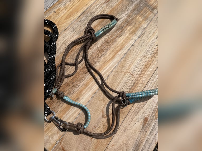 Knotenhalfter mit Ringen Gr. KB Kaltblut inkl. Bodenarbeitseil