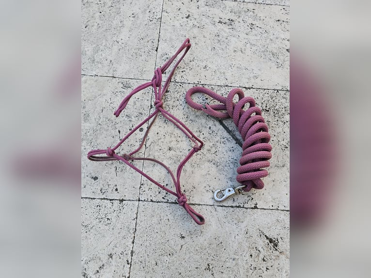 Knotenhalfter und Strick COB