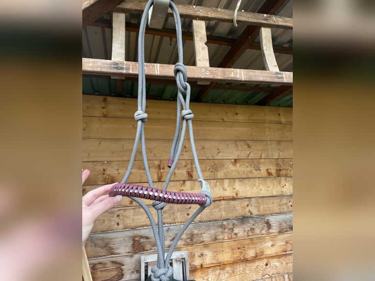 Knotenhalfter von USG