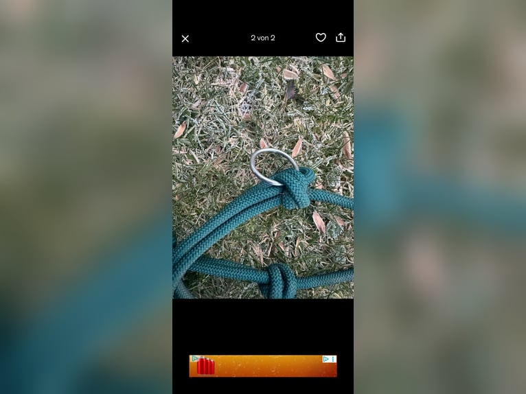 Knotenhalfter WB grün