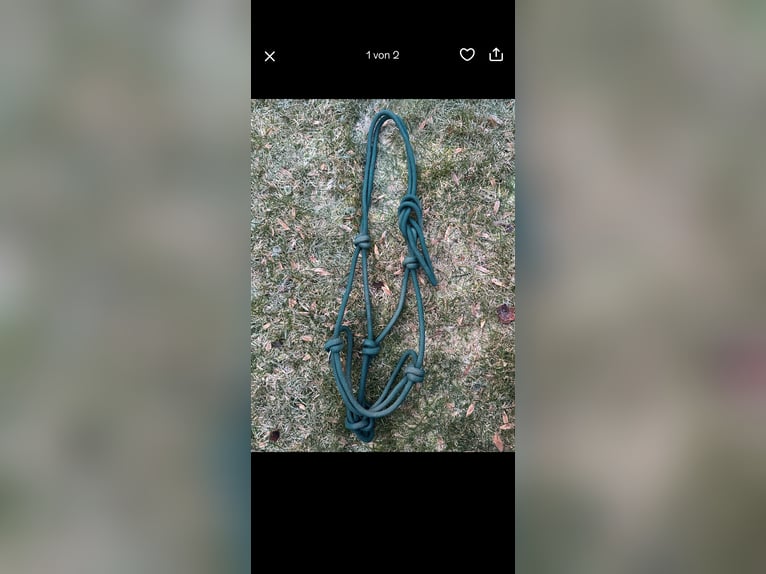 Knotenhalfter WB grün